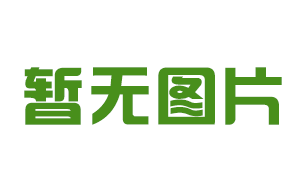 公司理念三